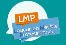 Comment apprécier le caractère professionnel de l’activité des loueurs en meublé ? Loueurs en meublé