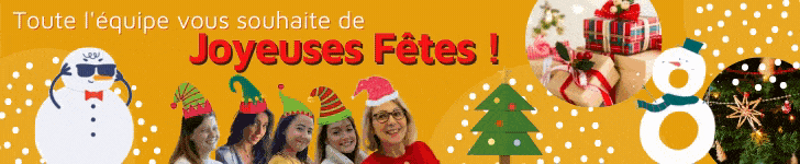 Bonnes fêtes 2020 (728×150)