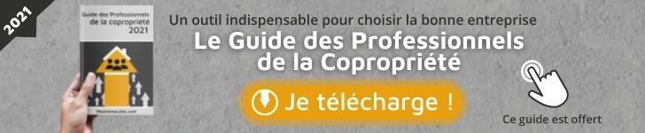 Guide des Pros 2021 (728×150)