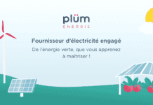 Plüm énergie : état des lieux du projet « service minimum de l’électricité » Plüm énergie verte