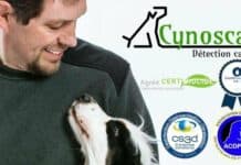 Punaises de lit : traiter les logements grâce aux chiens renifleurs Cynoscan - punaises de lit